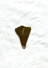 Alchemist Gua Sha Tool