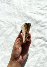 Alchemist Gua Sha Tool